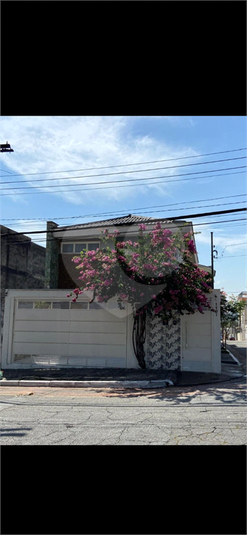 Foto REO19367