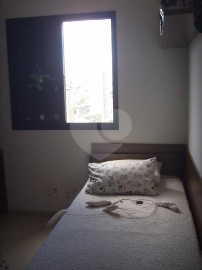 Foto REO193688
