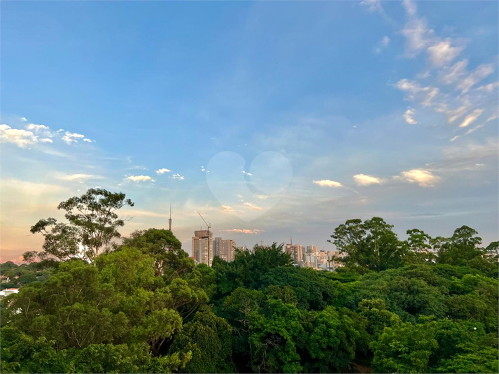 Foto REO194112