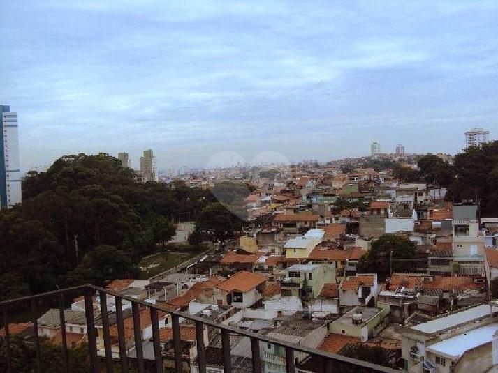 Foto REO194244