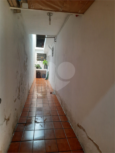 Foto REO194254