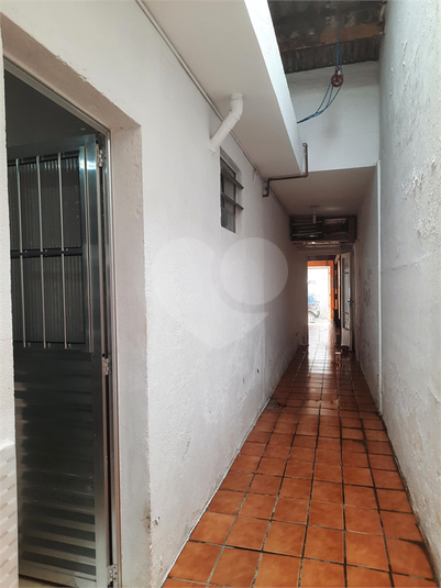 Foto REO194254