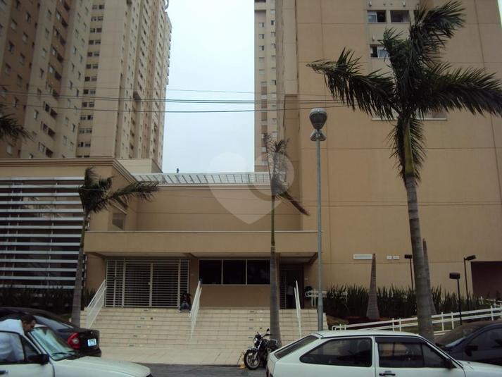 Foto REO194340
