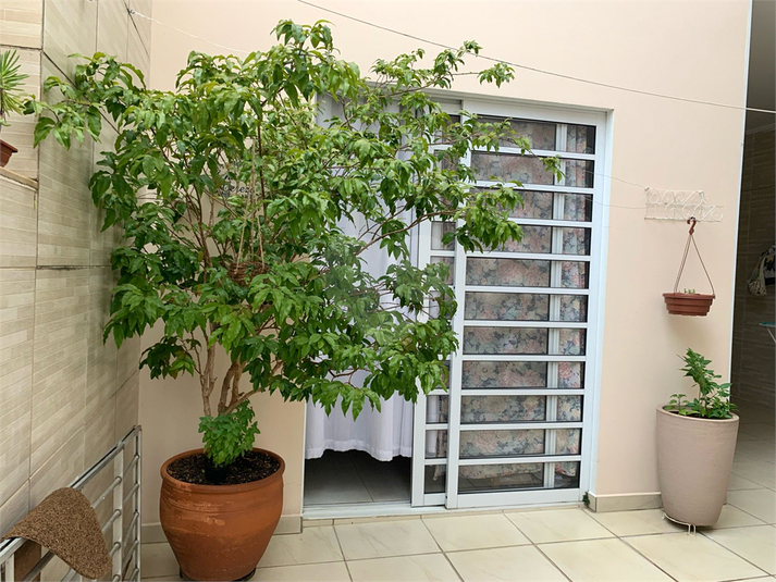 Foto REO194352