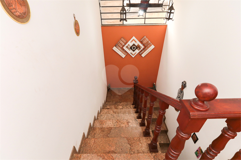 Foto REO194486