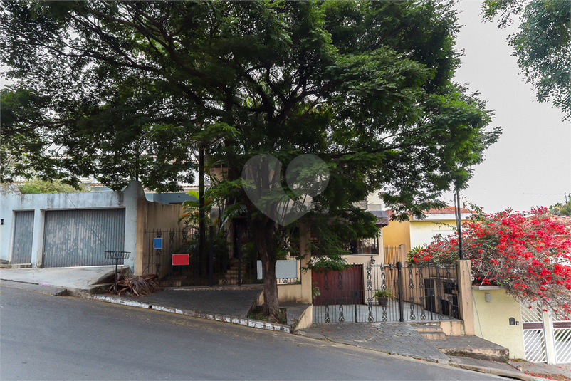 Foto REO194486