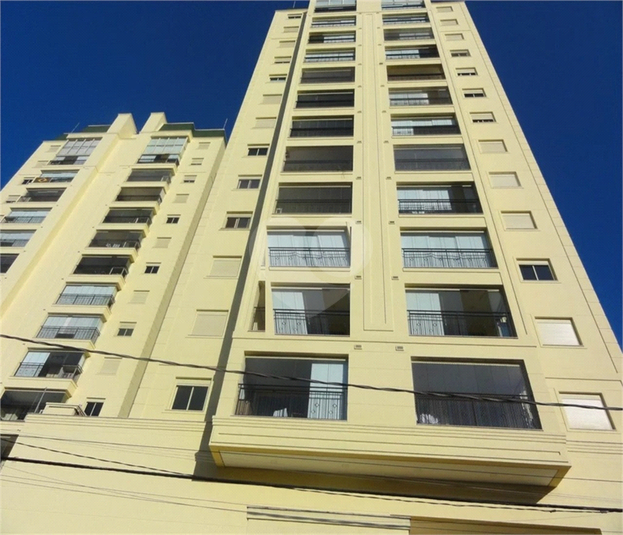 Foto REO194685