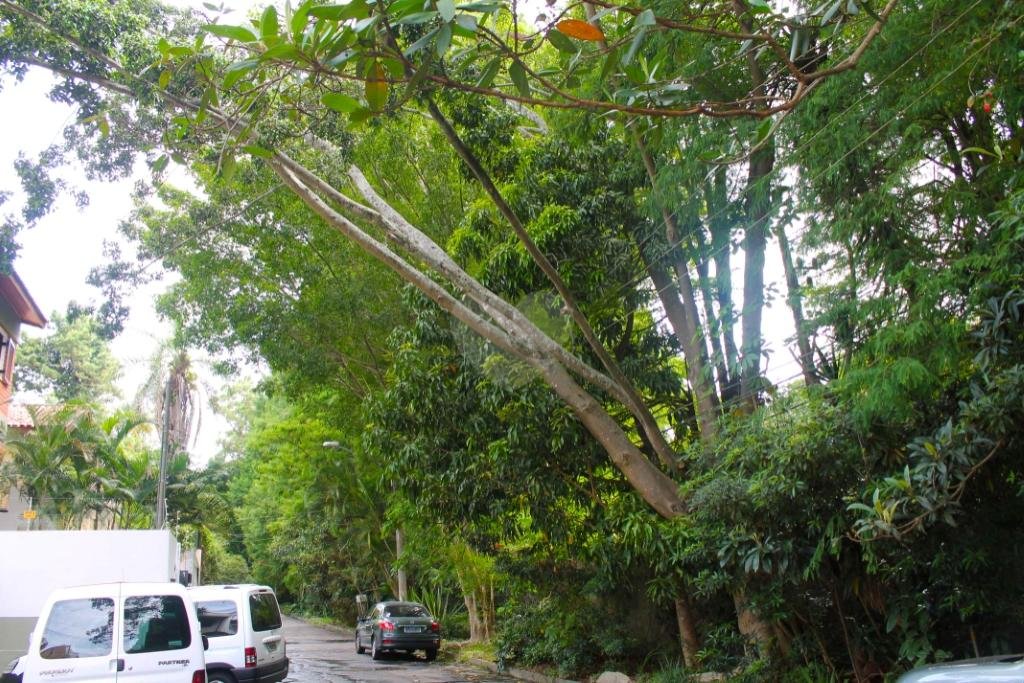 Venda Casa de vila São Paulo Chácara Monte Alegre REO196304 39