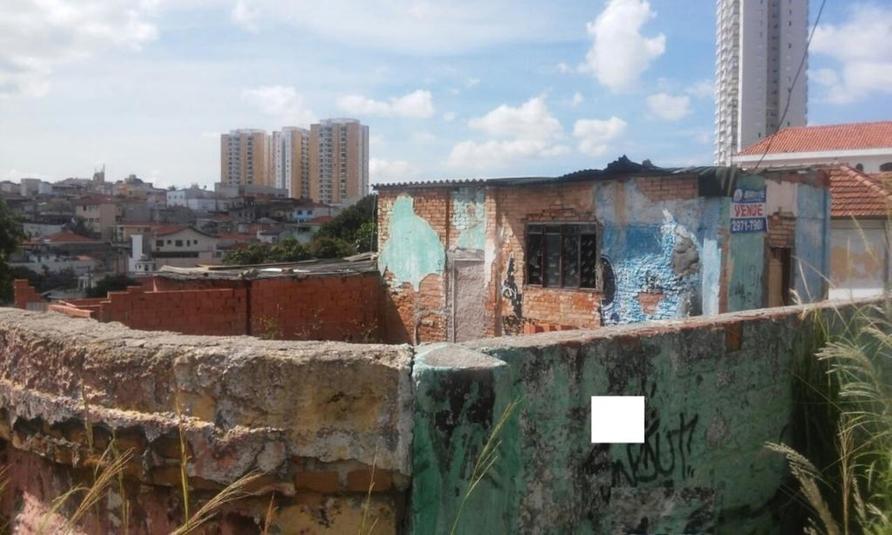 Foto REO196485