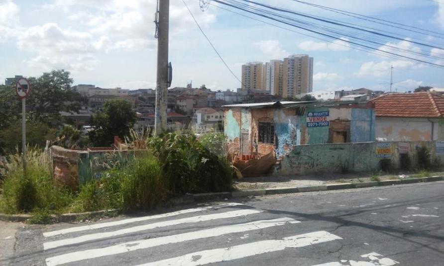 Foto REO196485