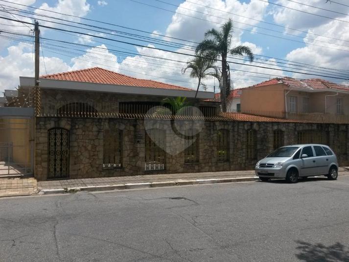 Foto REO197546