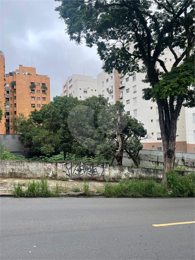 Foto REO197595