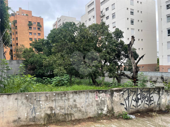 Foto REO197595