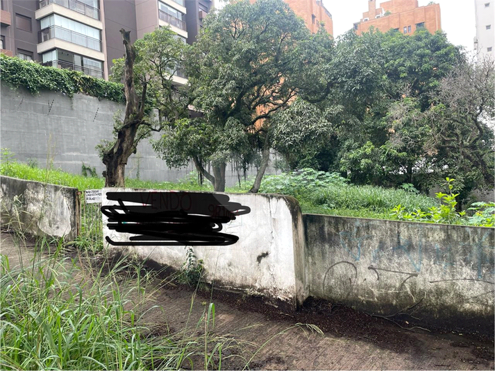 Foto REO197595
