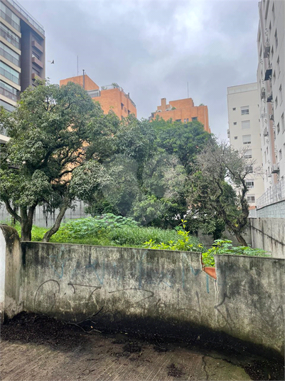Foto REO197595