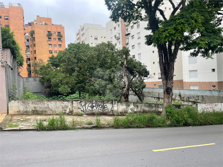 Foto REO197595