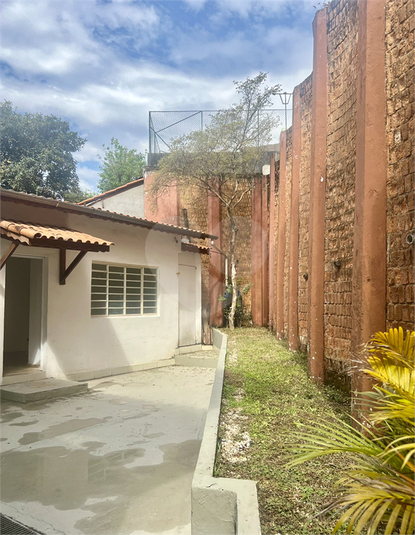 Foto REO198255