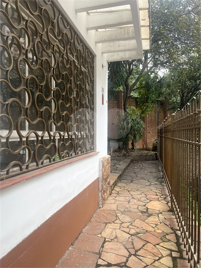 Foto REO198255