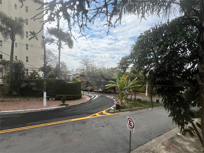 Foto REO198255