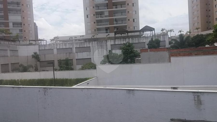 Foto REO198538