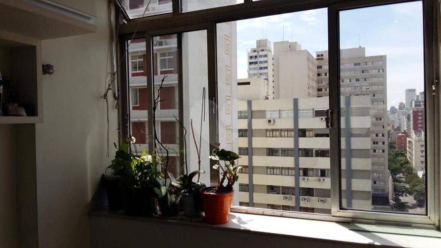 Foto REO198968