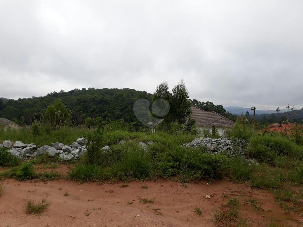 Venda Terreno Mairiporã Suiça Cantareira REO199327 41