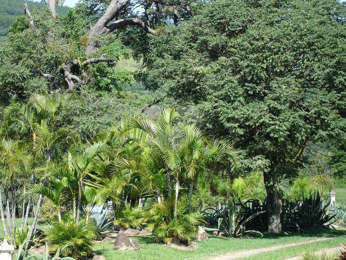 Venda Fazenda Atibaia Chácaras Maringá REO199948 34