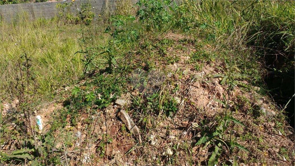 Venda Casa térrea São Paulo Horto Florestal REO200243 13