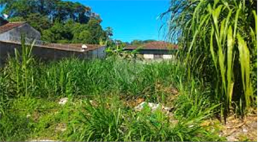 Venda Casa térrea São Paulo Horto Florestal REO200243 12