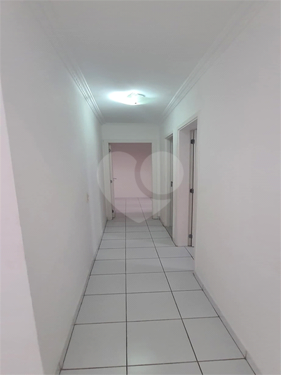 Foto REO201898