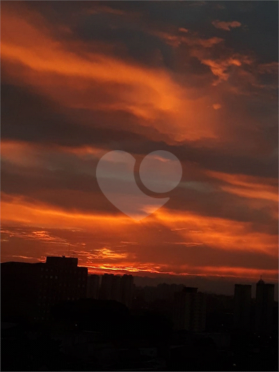 Foto REO202194