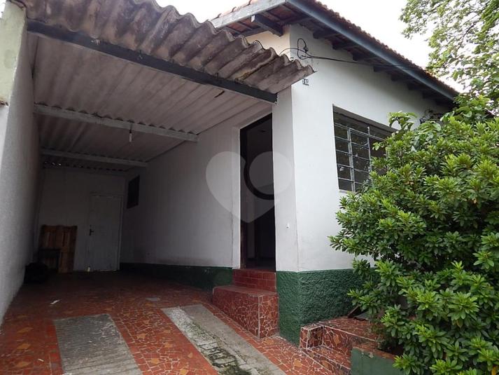 Foto REO204029