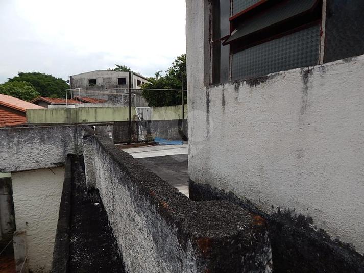 Foto REO204029