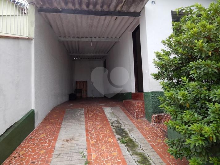 Foto REO204029