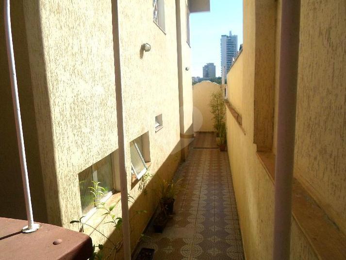 Foto REO204058