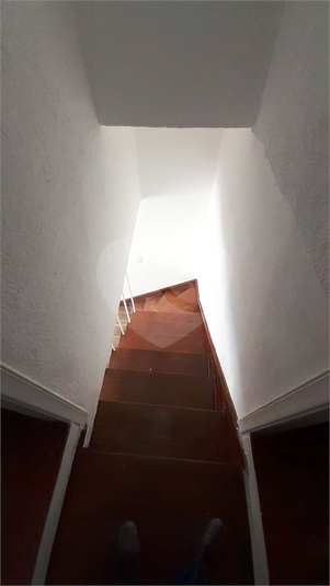 Foto REO204878