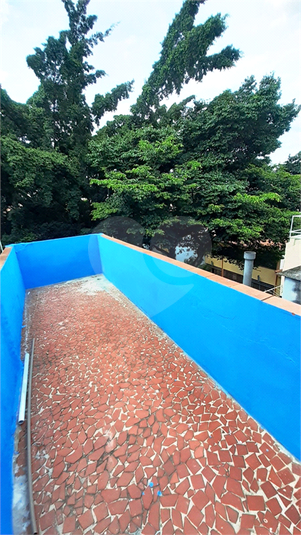 Foto REO204878