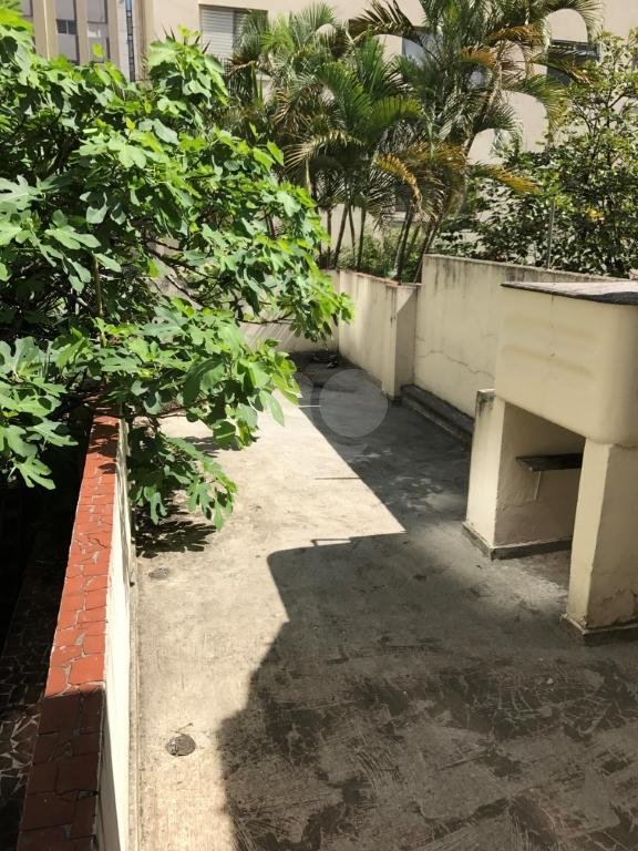 Aluguel Casa São Paulo Indianópolis REO205170 11