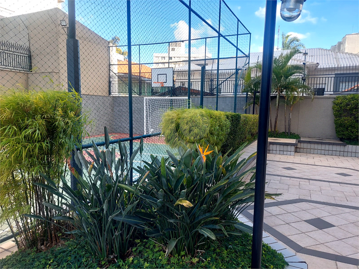 Foto REO205186