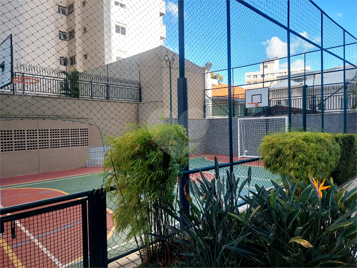 Foto REO205186