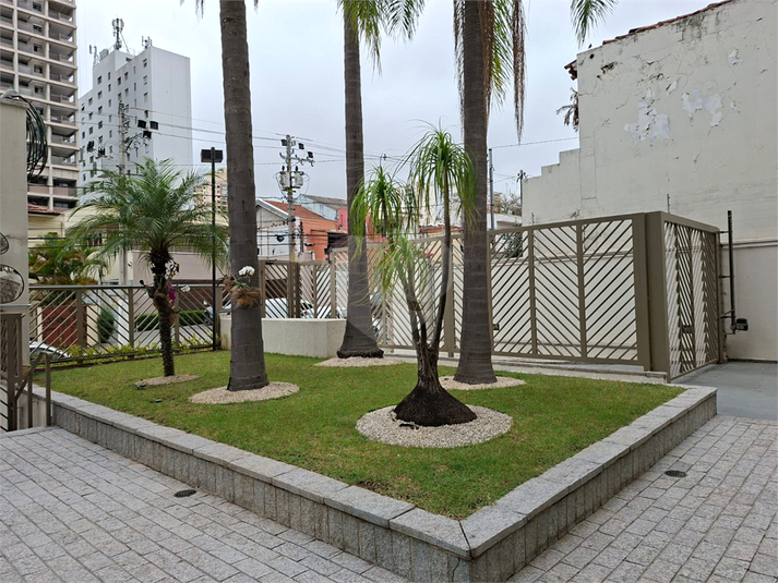 Foto REO205240