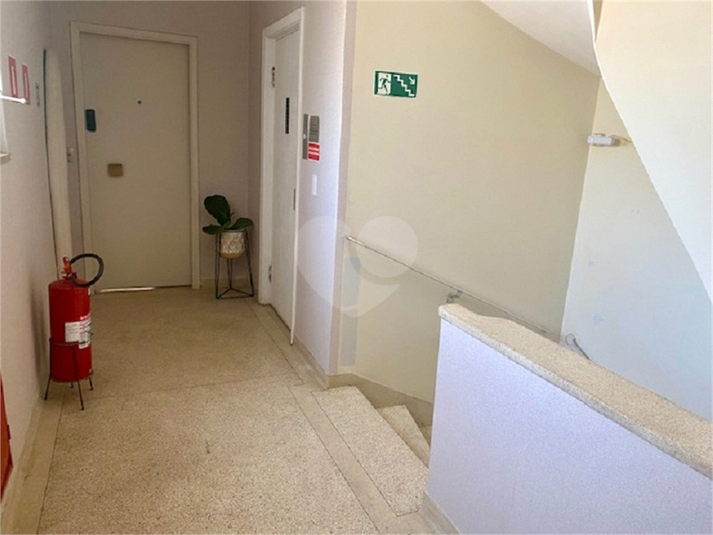 Foto REO20537