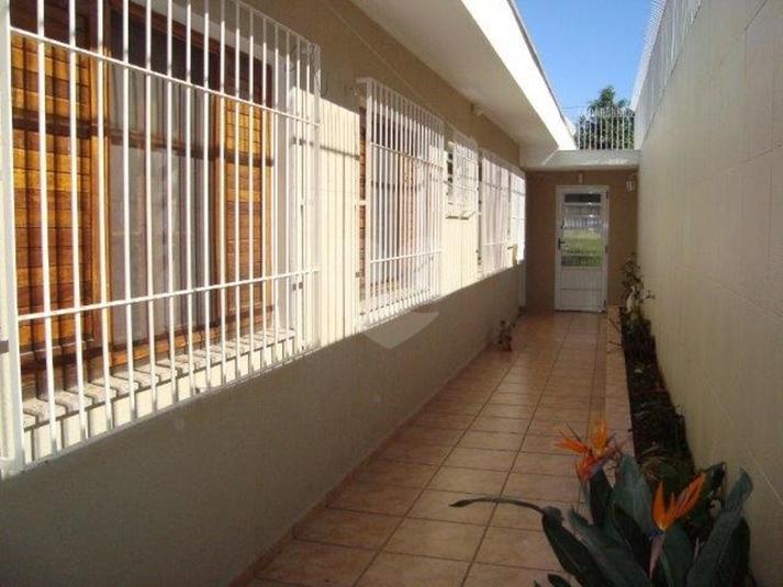 Foto REO206325