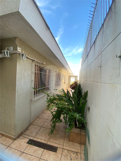 Foto REO206325