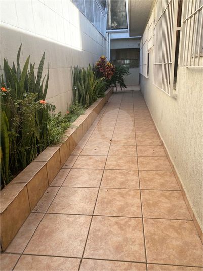 Foto REO206325