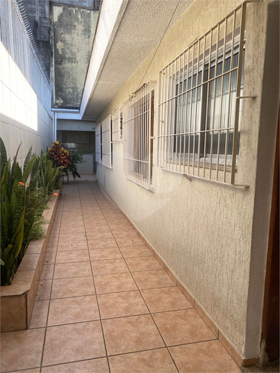 Foto REO206325