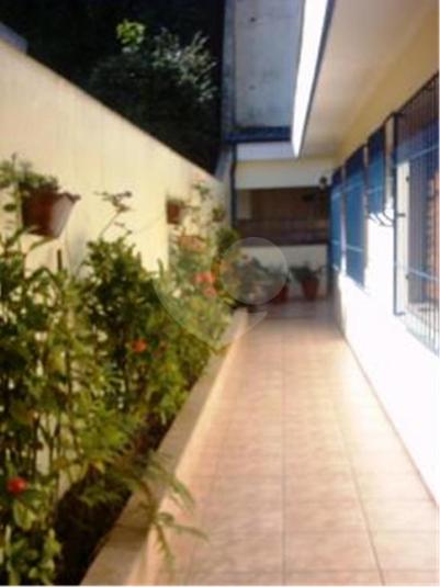 Foto REO206325