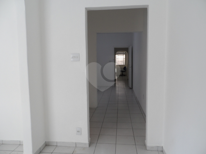 Foto REO207279