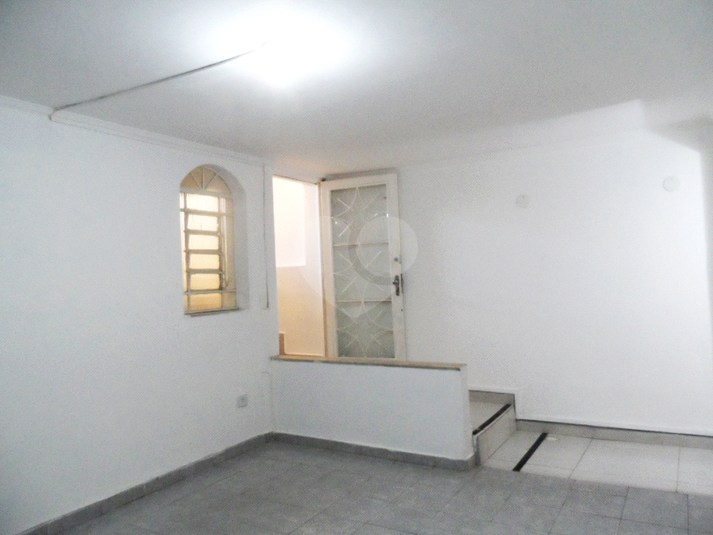 Foto REO207279