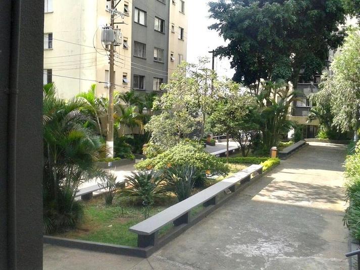 Foto REO207467